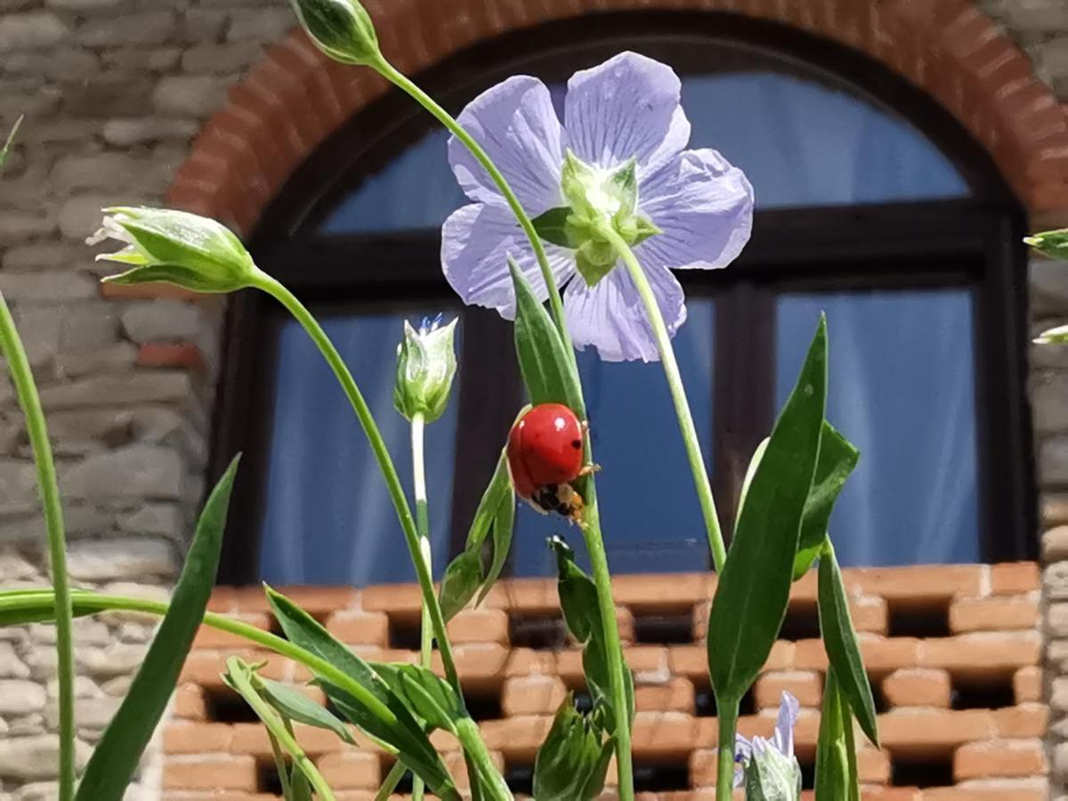 Agriturismo Mondo Bubbio Buitenkant foto