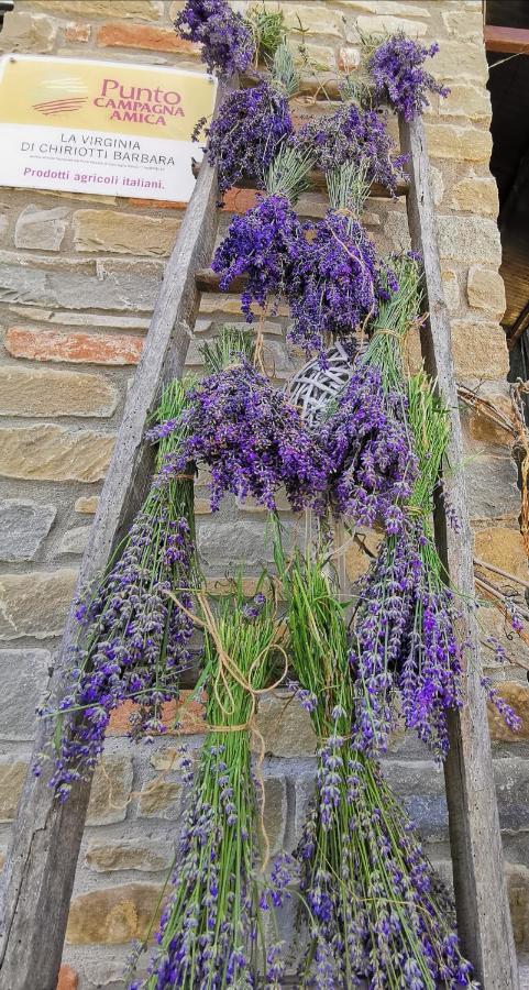 Agriturismo Mondo Bubbio Buitenkant foto